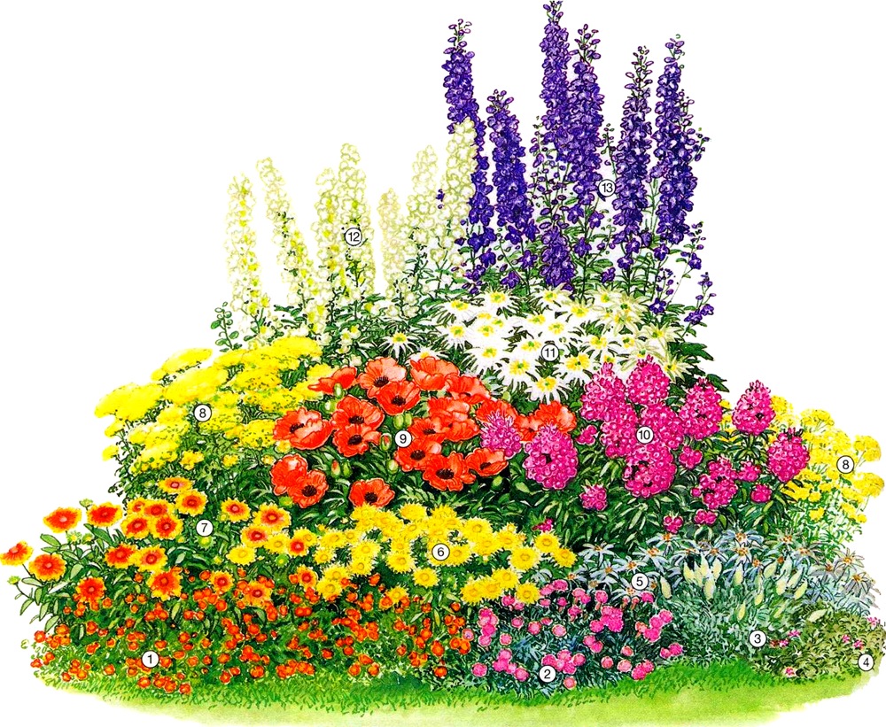 Клумбы непрерывного цветения – схемы с описанием цветов | Дизайн участка (жк-вершина-сайт.рф)