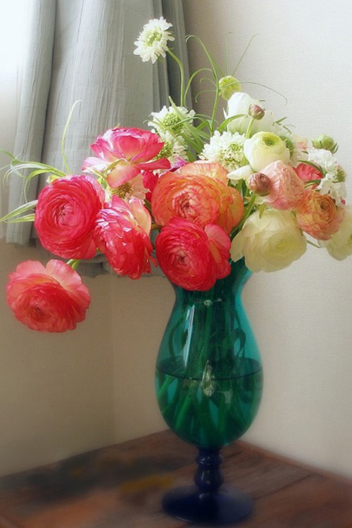 http://flowers.cveti-sadi.ru/files/2010/04/Ranunculus10.jpg