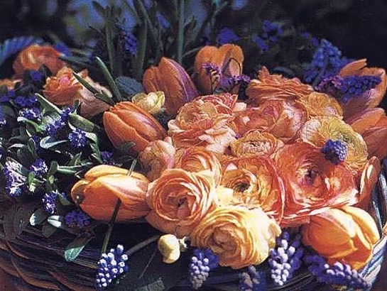 http://flowers.cveti-sadi.ru/files/2010/04/Ranunculus18.jpg