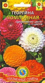 Купить семена георгины Купить семена георгины