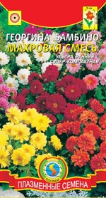 Купить семена георгины Купить семена георгины