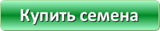 Купить семена