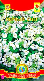 Купить семена Арабиса