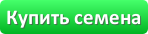 Купить семена гвоздики травянки