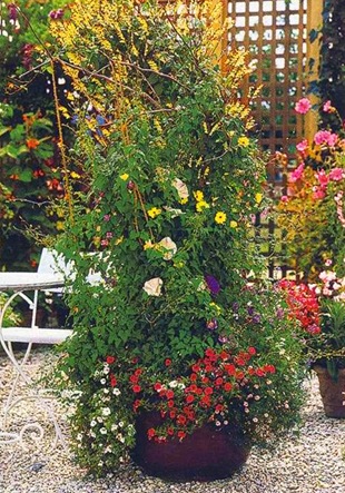 Живая стена в саду. Садовые ширмы из цветов — фото.
