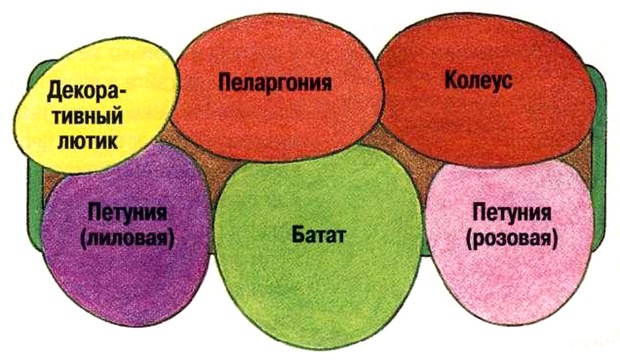 Схема цветов для балкона