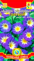 Купить семена вьюнка