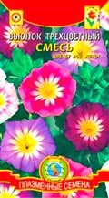 Купить семена вьюнка