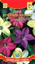 Купить семена душистого табака