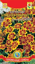 Купить семена бархатцев Купить семена бархатцев