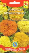 Купить семена бархатцев Купить семена бархатцев
