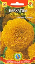 Купить семена бархатцев Купить семена бархатцев