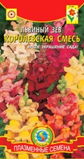 Купить семена львиного зева Купить семена львиного зева