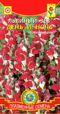 Купить семена львиного зева Купить семена львиного зева