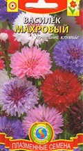 Купить семена василька