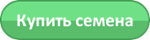 Купить семена