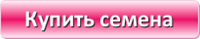 button(8)