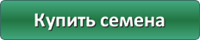 Купить семена
